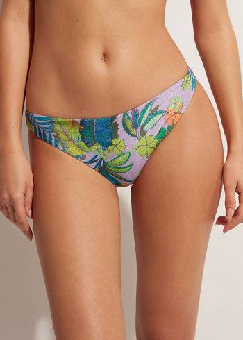 Abajo De Bikini Calzedonia Brasilia Mujer Moradas | CL1304UT