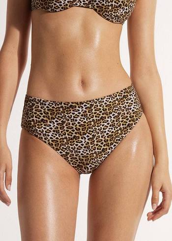 Abajo De Bikini Calzedonia High Cintura Malindi Mujer Marrones | CL1435IS