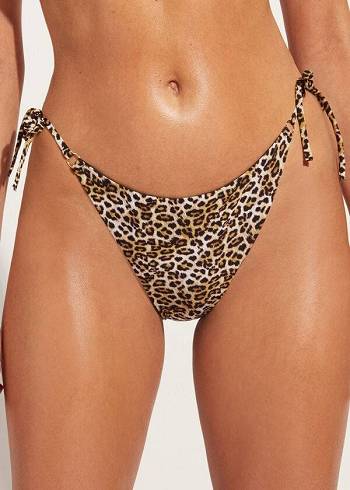 Abajo De Bikini Calzedonia String Malindi Mujer Marrones | CL1603ZG