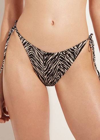 Abajo De Bikini Calzedonia Tanga Zebra Nairobi Mujer Negras | CL1641YU