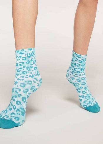 Calcetines Calzedonia Animal Print Corta Mujer Verde | CL2337GL