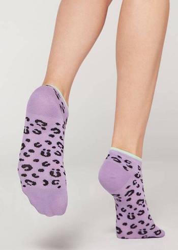 Calcetines Calzedonia Checkered No-Show Mujer Moradas | CL2271SO
