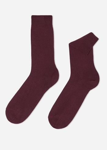 Calcetines Calzedonia Crew with Cashmere Hombre Burdeos | CL2841AP