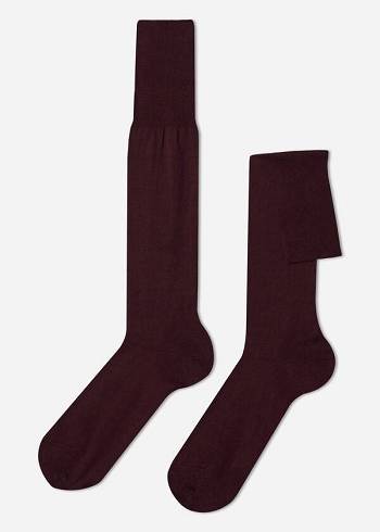 Calcetines Calzedonia Lisle Thread Long Hombre Burdeos | CL2761LH
