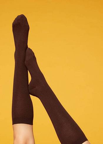 Calcetines Calzedonia Long with Cashmere Mujer Marrones | CL2251KI
