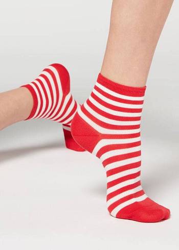 Calcetines Calzedonia Stripe Patterned Corta Mujer Rojas | CL2547DN