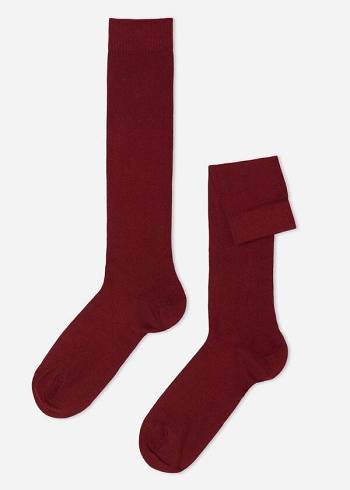 Calcetines Calzedonia Warm Algodon Long Hombre Rojas | CL2792UT