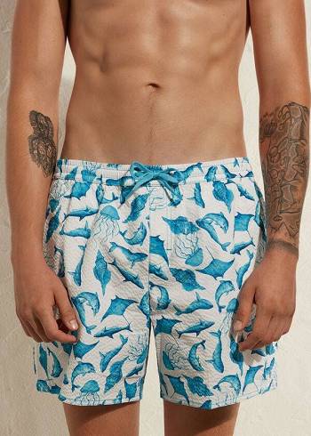 Traje De Baño Calzedonia Formentera Hombre Turquesa Blancas | CL2920EX