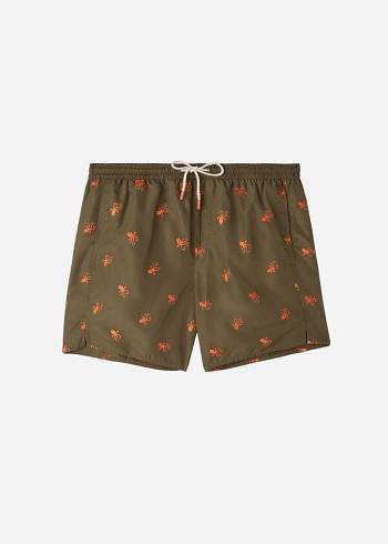 Traje De Baño Calzedonia Formentera Hombre Marrones | CL2937RW