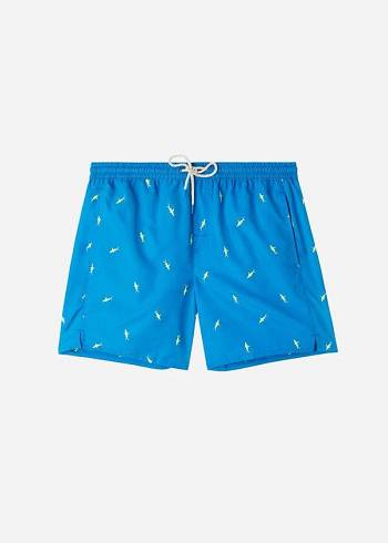Traje De Baño Calzedonia Formentera Hombre Azules Gris | CL2939WY