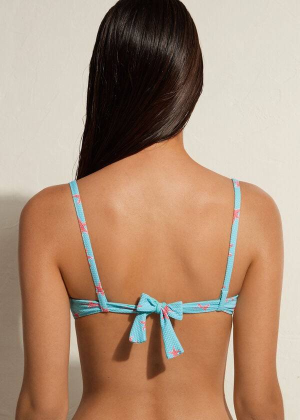 Arriba De Bikini Calzedonia Acolchado Push-up Buenos Aires Mujer Azul Marino | CL1837ZG