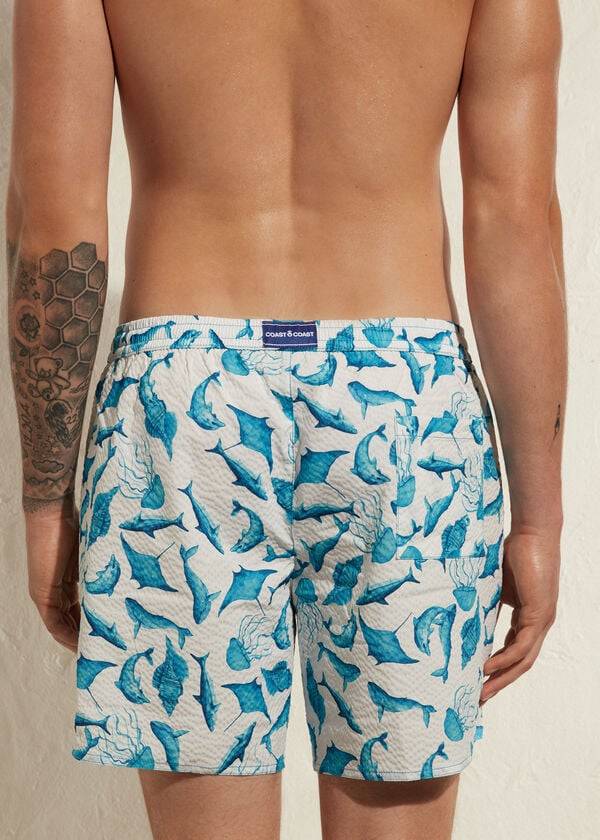 Traje De Baño Calzedonia Formentera Hombre Turquesa Blancas | CL2920EX